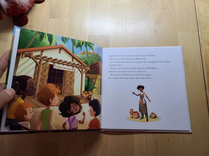 Le volcan de la soufrière - photo numéro 10