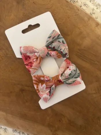 Barrettes sergent Major mon voisin perroquet