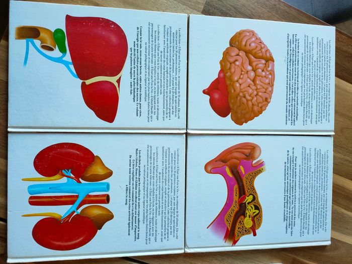 Il était une fois la vie - photo numéro 2