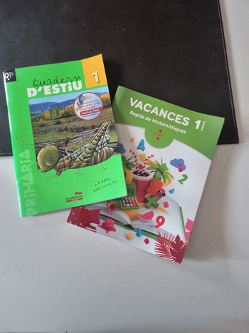 Lot 2 cahiers de vacances