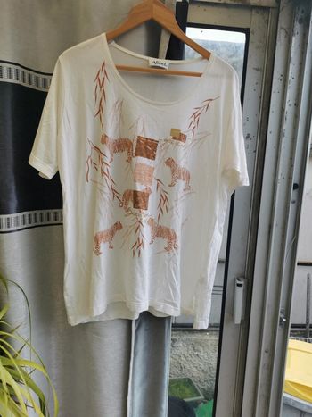 Tee shirt savane Afibel t50/52