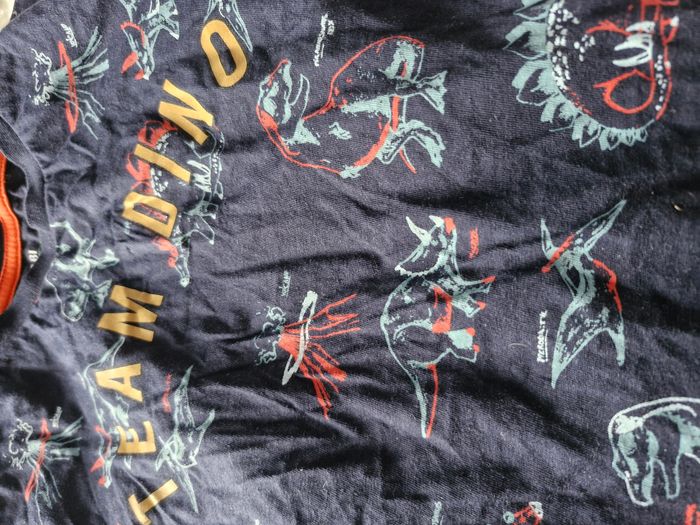 Lot de 2 t-shirts Dino Exotic - photo numéro 4