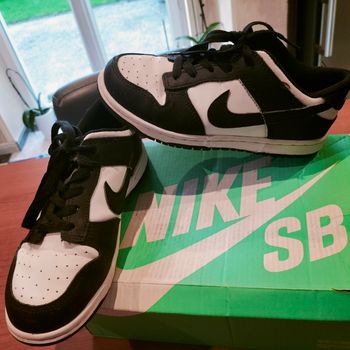 Baskets Nike
