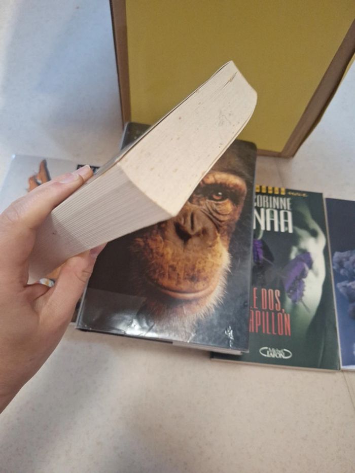 Livre les schuller roman - photo numéro 5