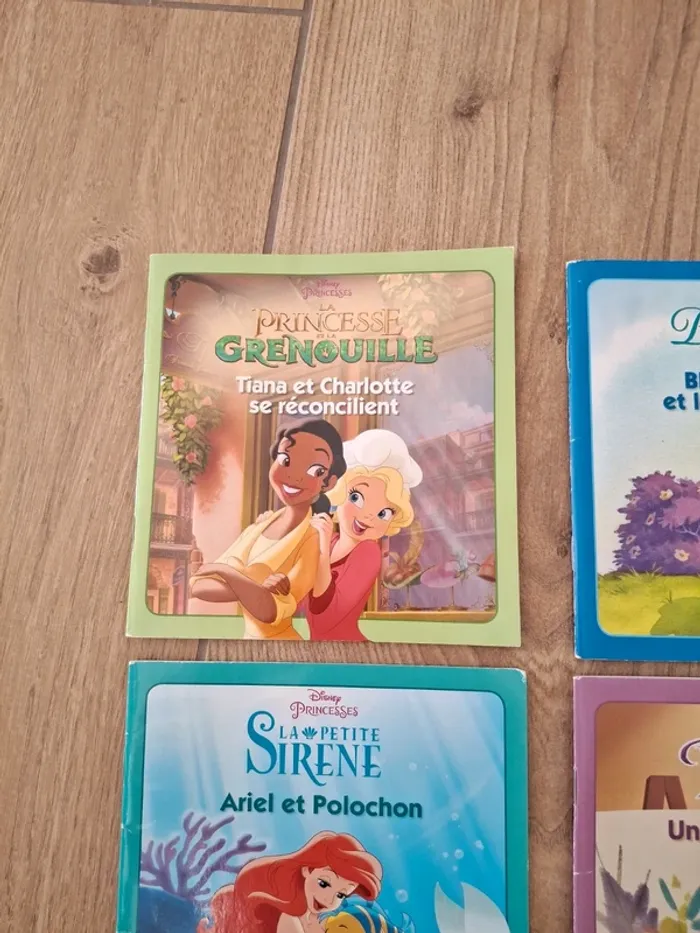 Lot de 4 livres Princesse Disney - photo numéro 3