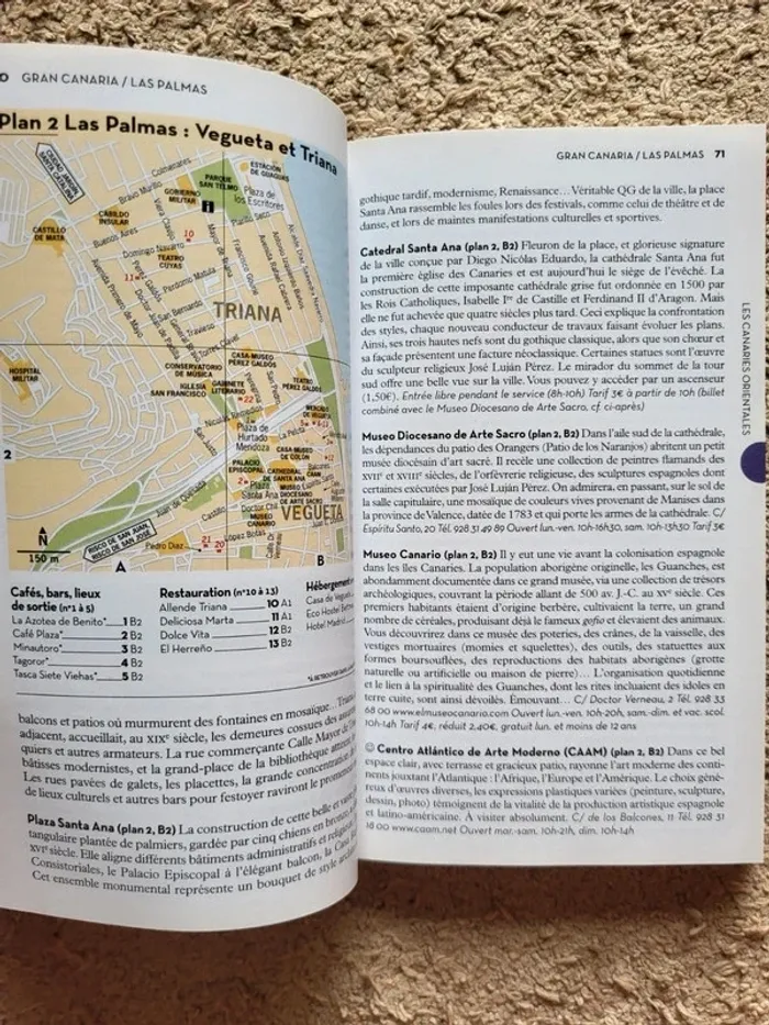 Livre de voyage Geoguide Les Canaries - photo numéro 9