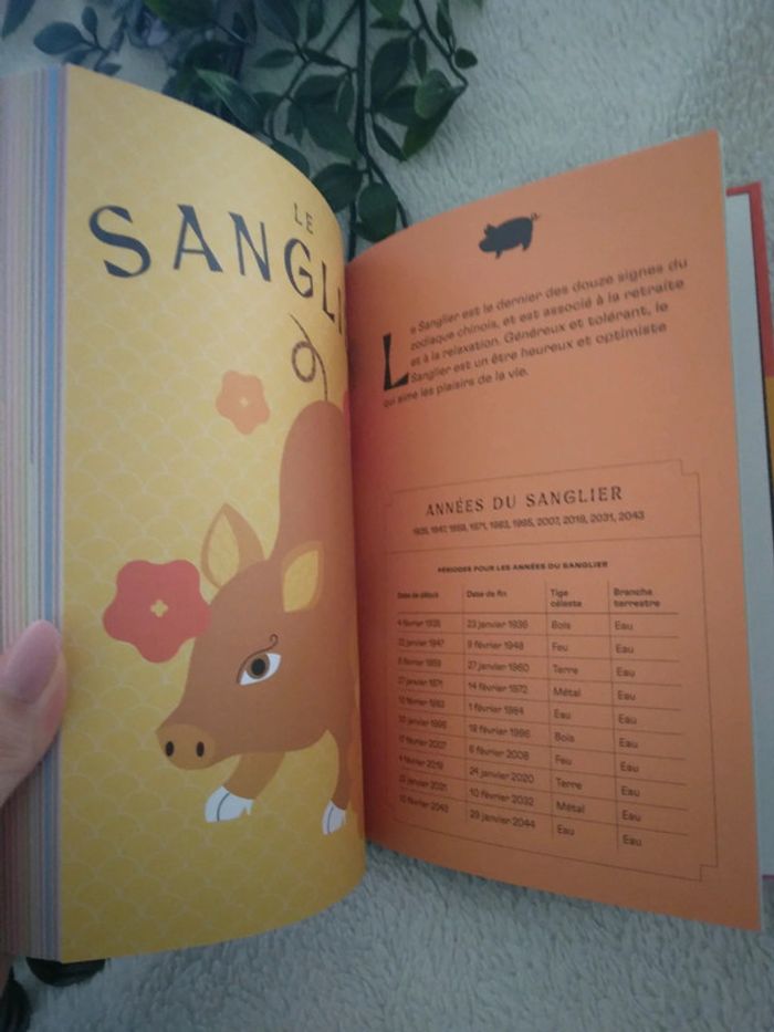 🍁Livraison a 1€ sur LBC - tigre16🍁🌸Livre sur l'astrologie Chinoise neuf🌸 - photo numéro 4