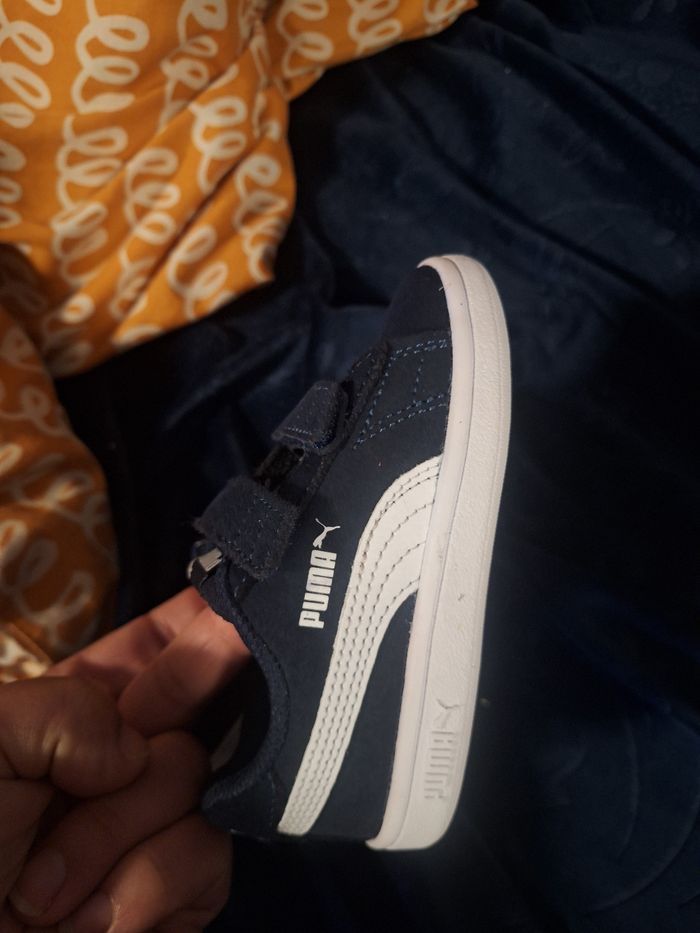 Puma - photo numéro 4