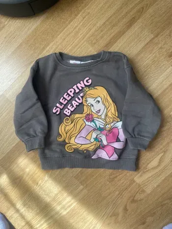 Sweat Disney Zara 80cm