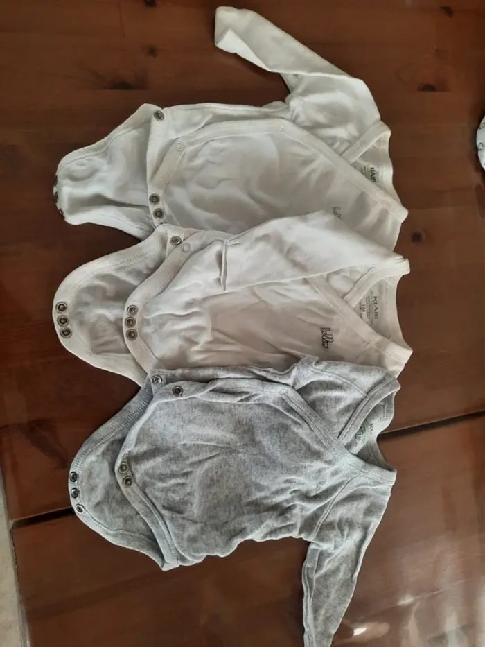 Lot Body