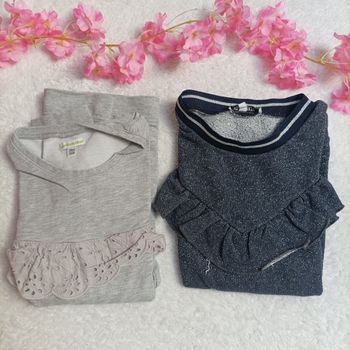 Lot de 2 pulls 12 ans 