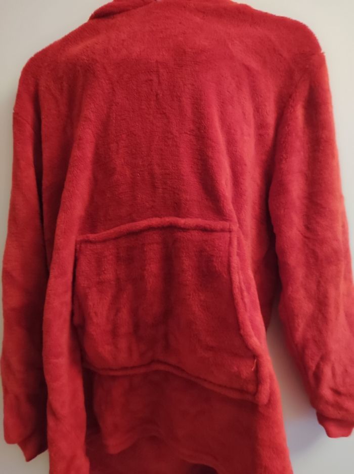 Pull forme coccinelle 🐞 5 ans - photo numéro 7