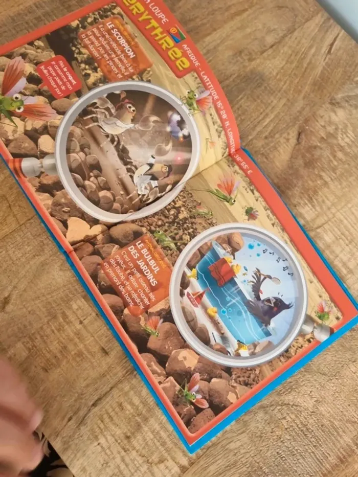 Livre enfant les animaux les plus bizarre - photo numéro 4