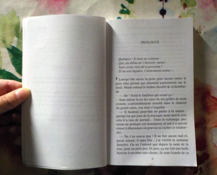 LE BAGAD BOMBARDE A QUIMPER de Jean-Michel ARNAUD Ed. Bargain - photo numéro 5