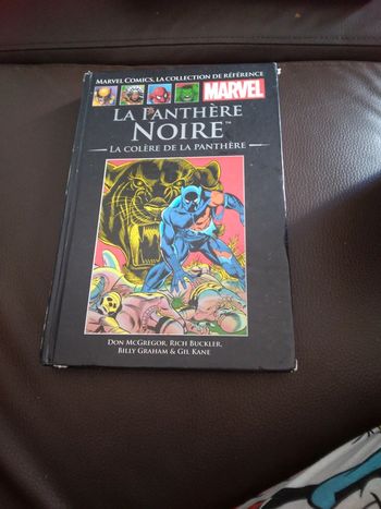 Livre la panthère noir