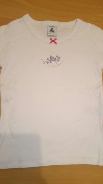 Tee shirt petit bateau 2ans