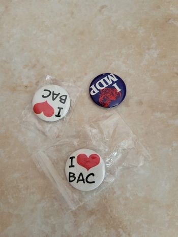 Pins Broches