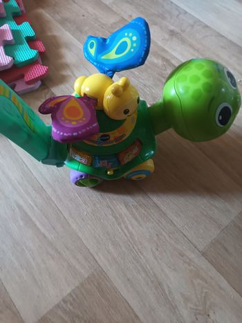 Pousse pousse tortue