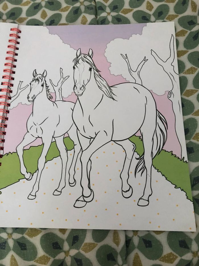 Livre de coloriage miss Mélody - photo numéro 17