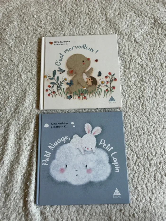 Lot de deux albums