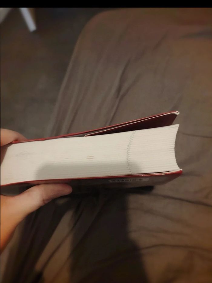 Gros livre Da vinci code - photo numéro 3