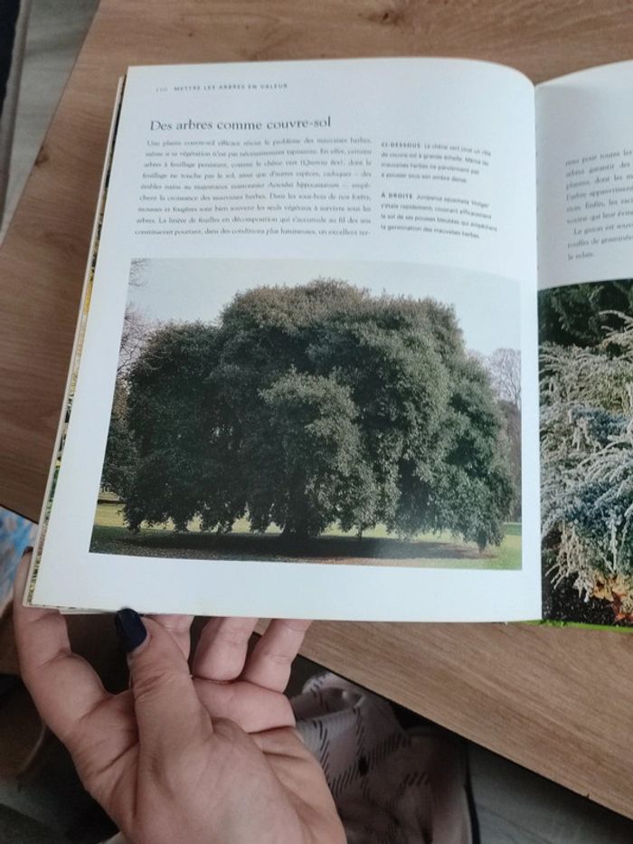 Livre sur les arbres du jardin - photo numéro 7