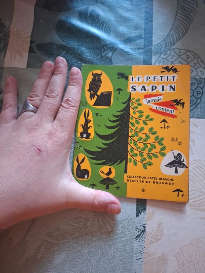 Le petit sapin jamais content - photo numéro 2