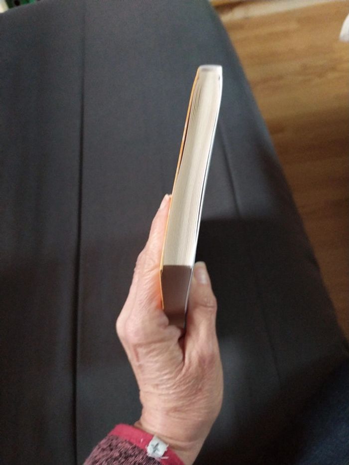 Le Mas des Dames d'Alice Dona - photo numéro 4