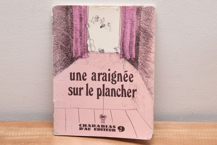 Une araignée sur le plancher