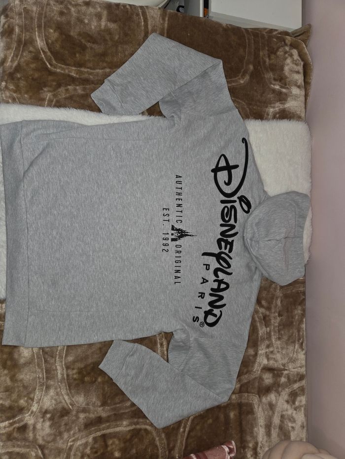 Sweat zip à capuche logo ©️ Disneyland Paris taille L +1 goodies Disney 🎁 offert - photo numéro 4