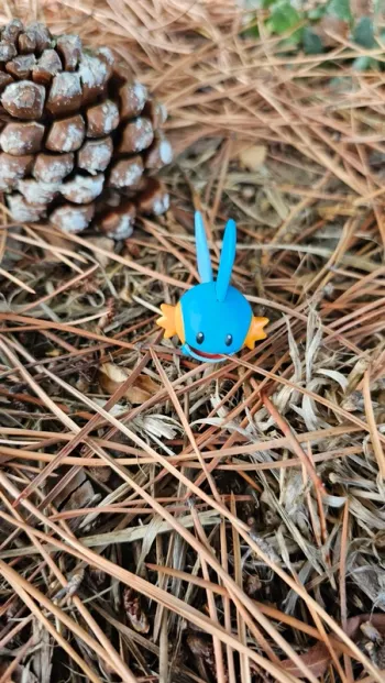 Super figurine Pokemon Nintendo Gobou