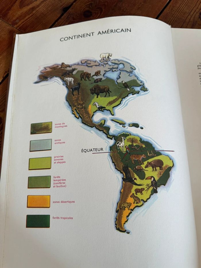 Lito Roby Grand livre illustrations Robert Dallet ancien vintage Faune du nouveau monde d’Amerique - photo numéro 4