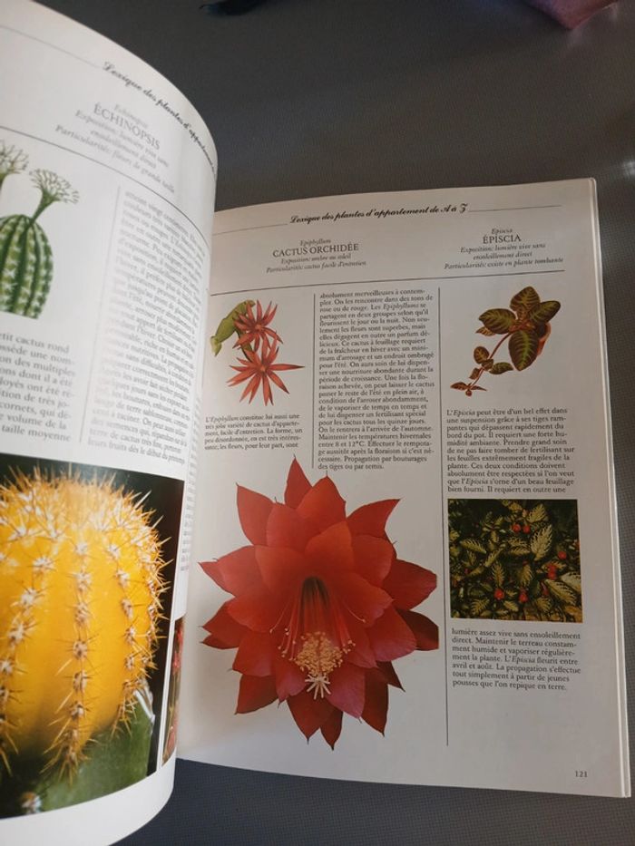 🍍 Livre Les plantes d intérieur - photo numéro 6