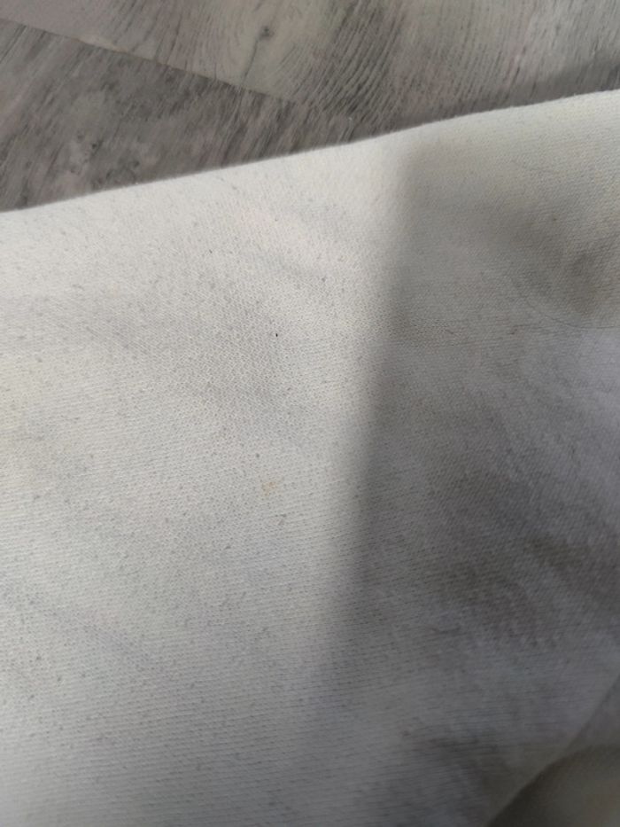 Sweat à Capuche Champion Blanc Logo Floqué Taille XS Homme - photo numéro 11