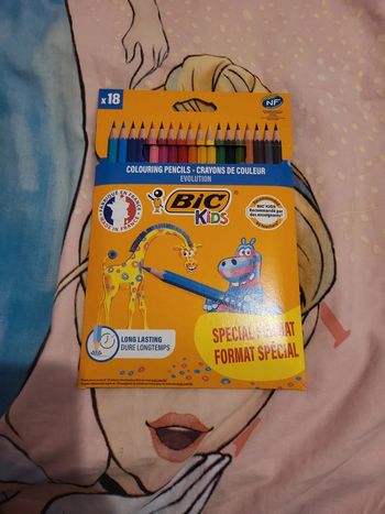 Crayon de couleur bic x18