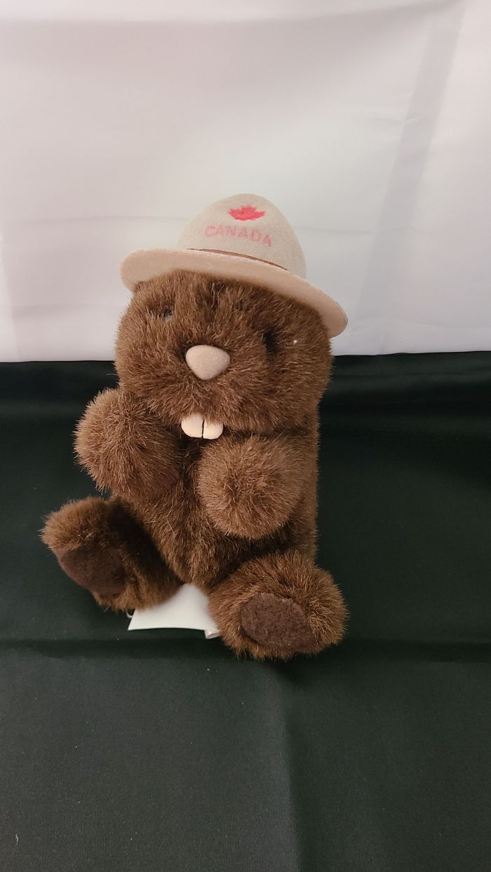 peluche castor canada bearthonstock