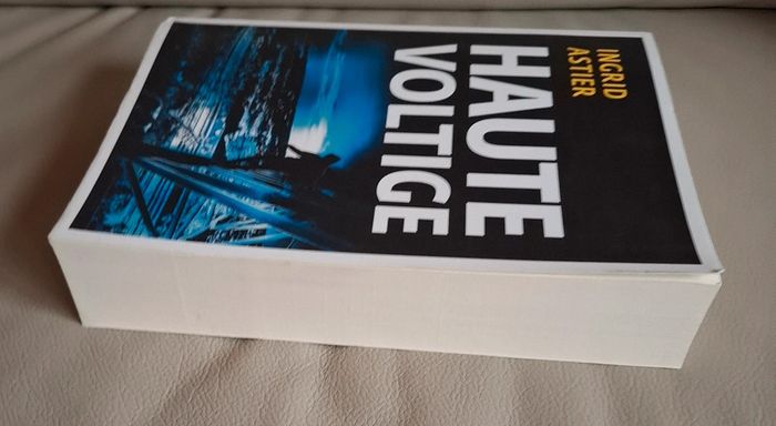 Roman Haute Voltige Ingrid Astier - photo numéro 5