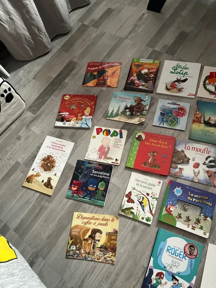 Lot de livres - photo numéro 4