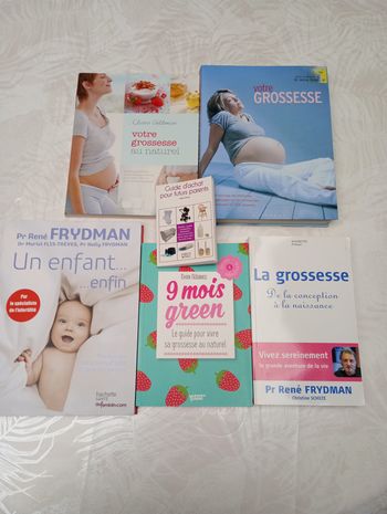 Lot livres grossesse