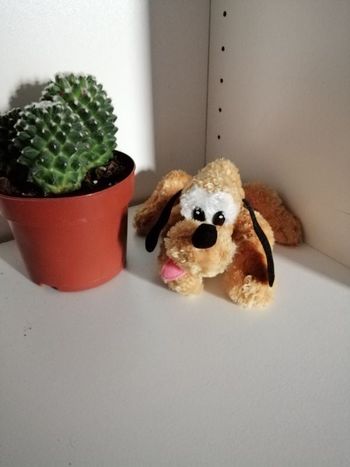 Petite peluche chien pluto Disneyland Paris 🌸