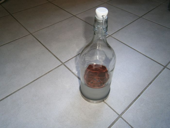 Bouteille en verre pour une plante - photo numéro 2