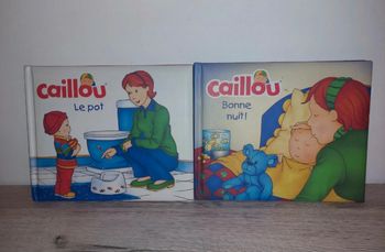 Livres caillou