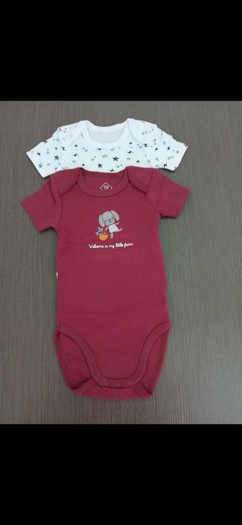 Lot 2 bodies manches courtes garçon tex baby 71 cm 9 mois