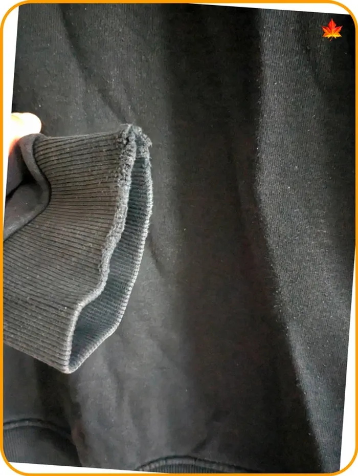 Sweat à capuche zippé The North Face XL - photo numéro 9