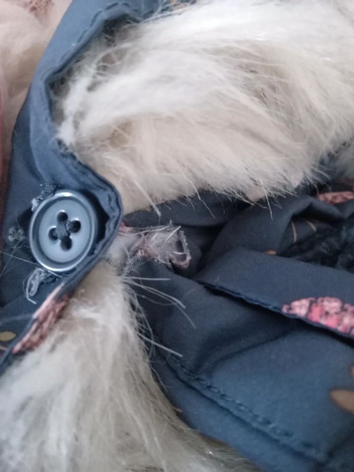 Doudoune TAO 12 ans - photo numéro 2