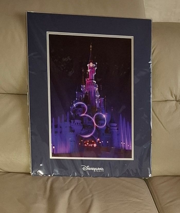 Illustration Disneyland Paris 30e anniversaire - photo numéro 2