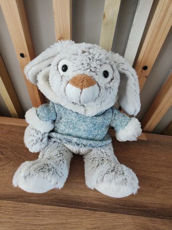 Lapin avec son pull à capuche