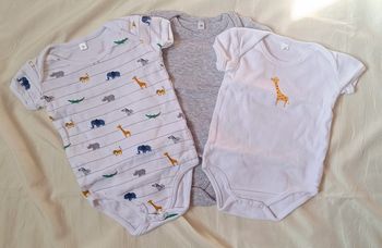 Lot bodies naissance manches courtes 