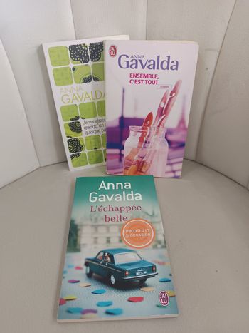 Lot roman de Anna Gavalda 