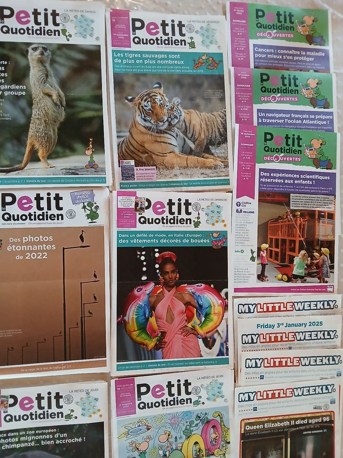Lot de 120 magazines Petit quotidien - photo numéro 2